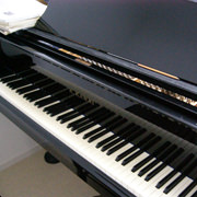 特技の例：ピアノ